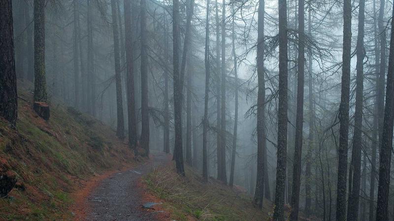 黑料爆料服务项目主视觉